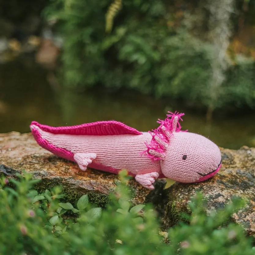 Axolotl