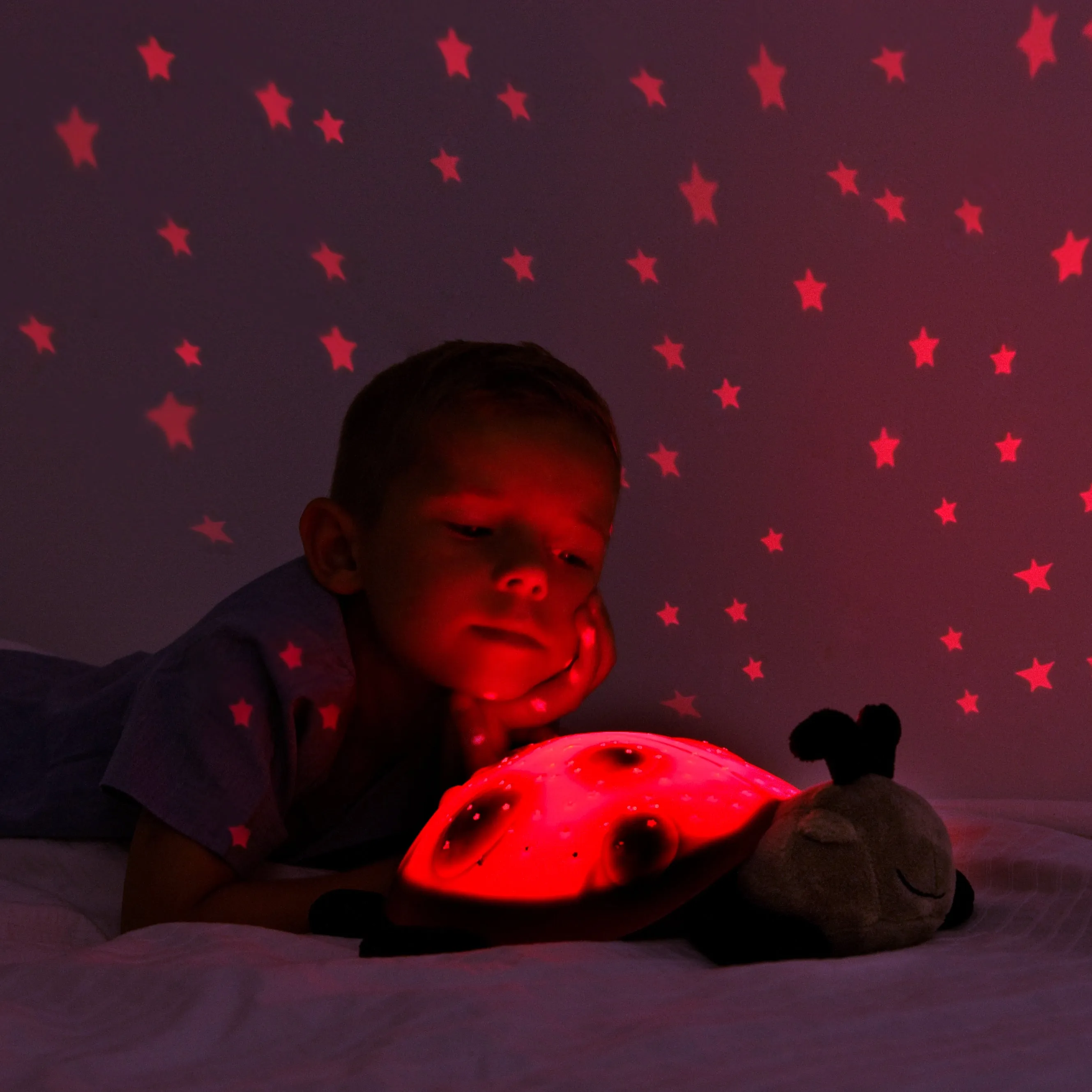 Cloud b -Twilight Ladybug | Classic Projecting Night Light