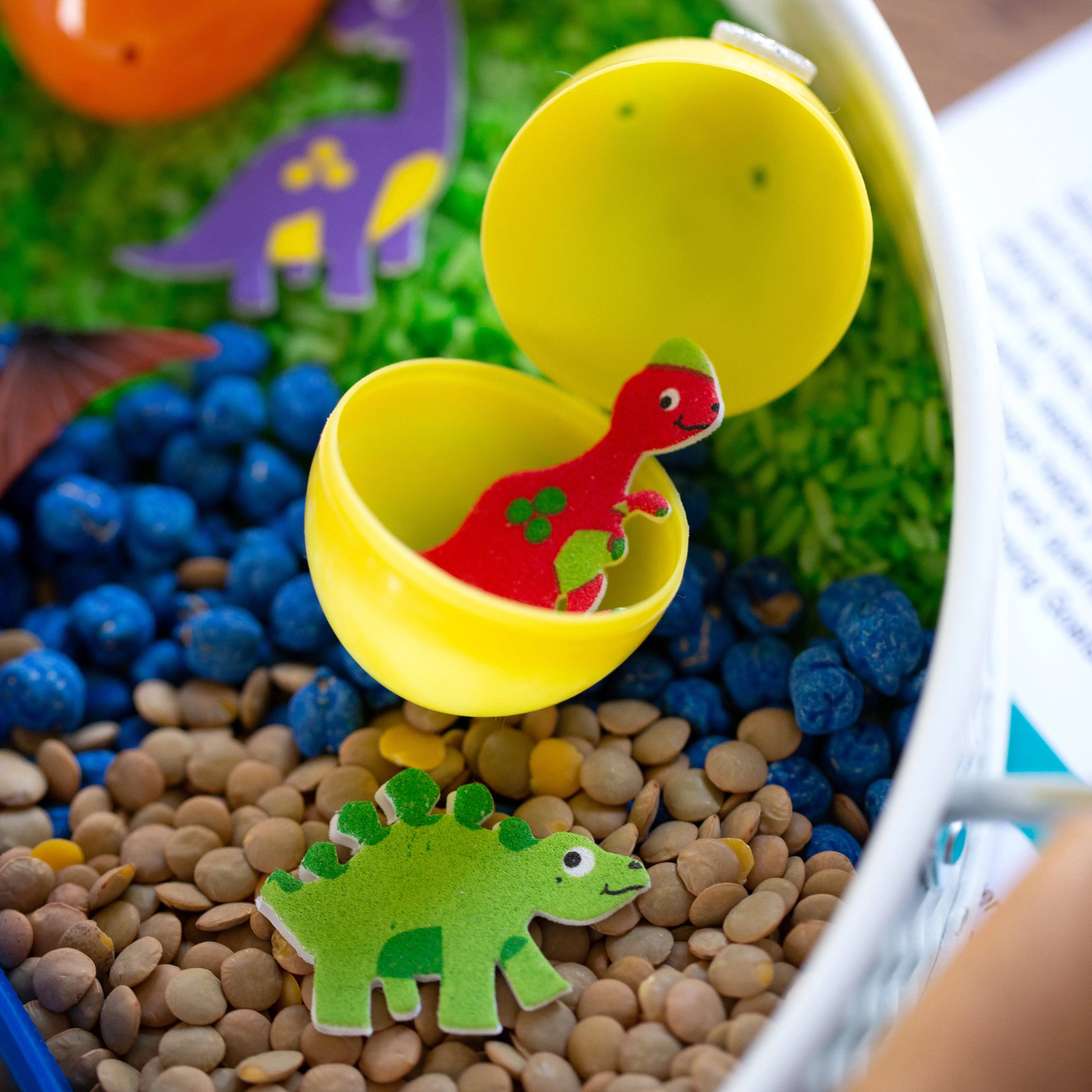 Dinosaur Sensory Kit