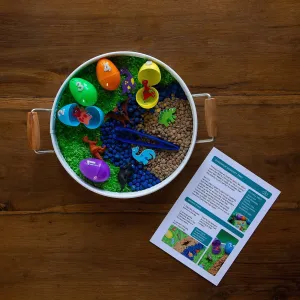 Dinosaur Sensory Kit