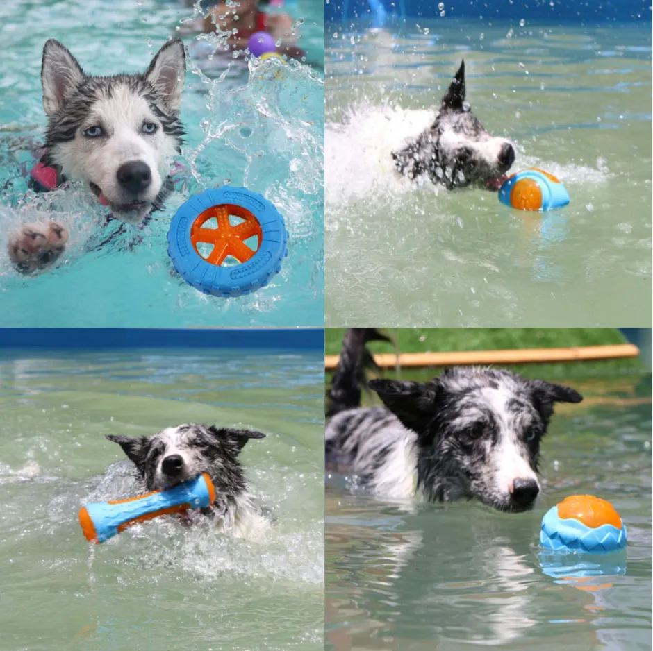 Dog Heaven™ Interactive Toys