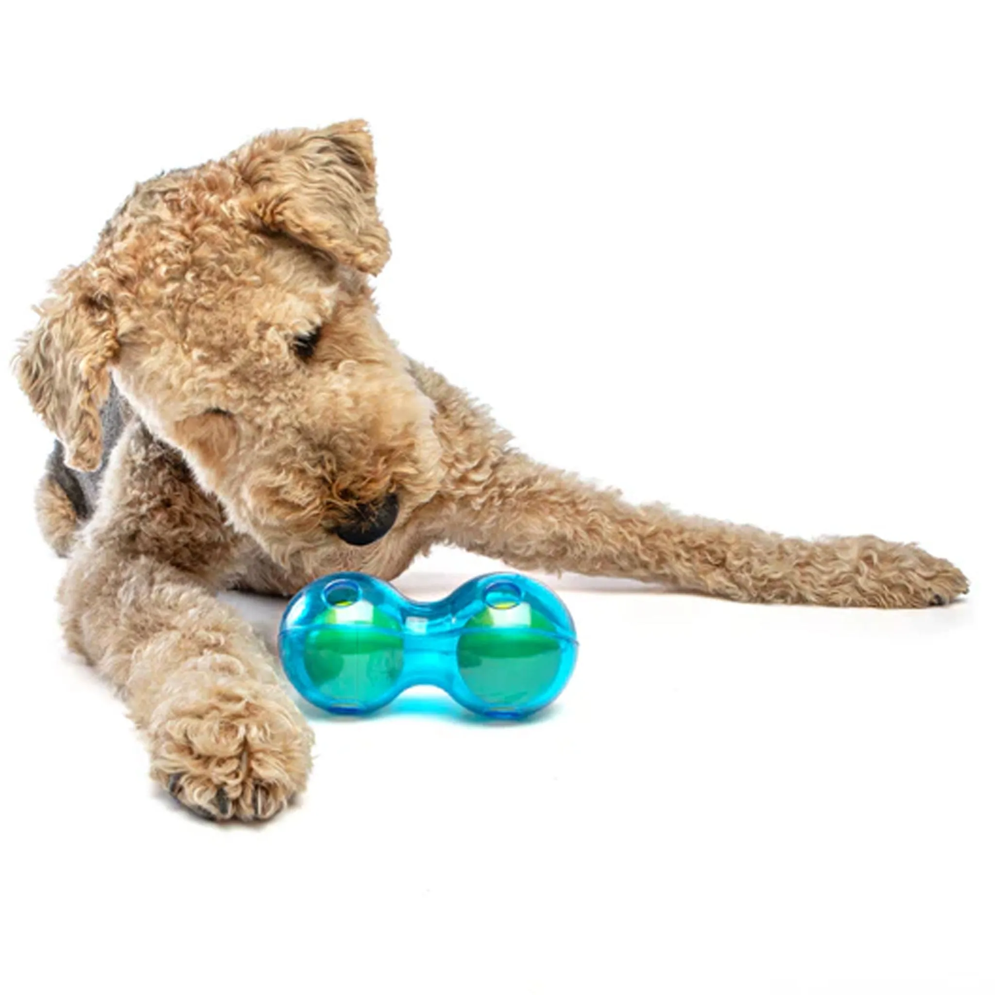 Guru Duo Ball Dog Toy