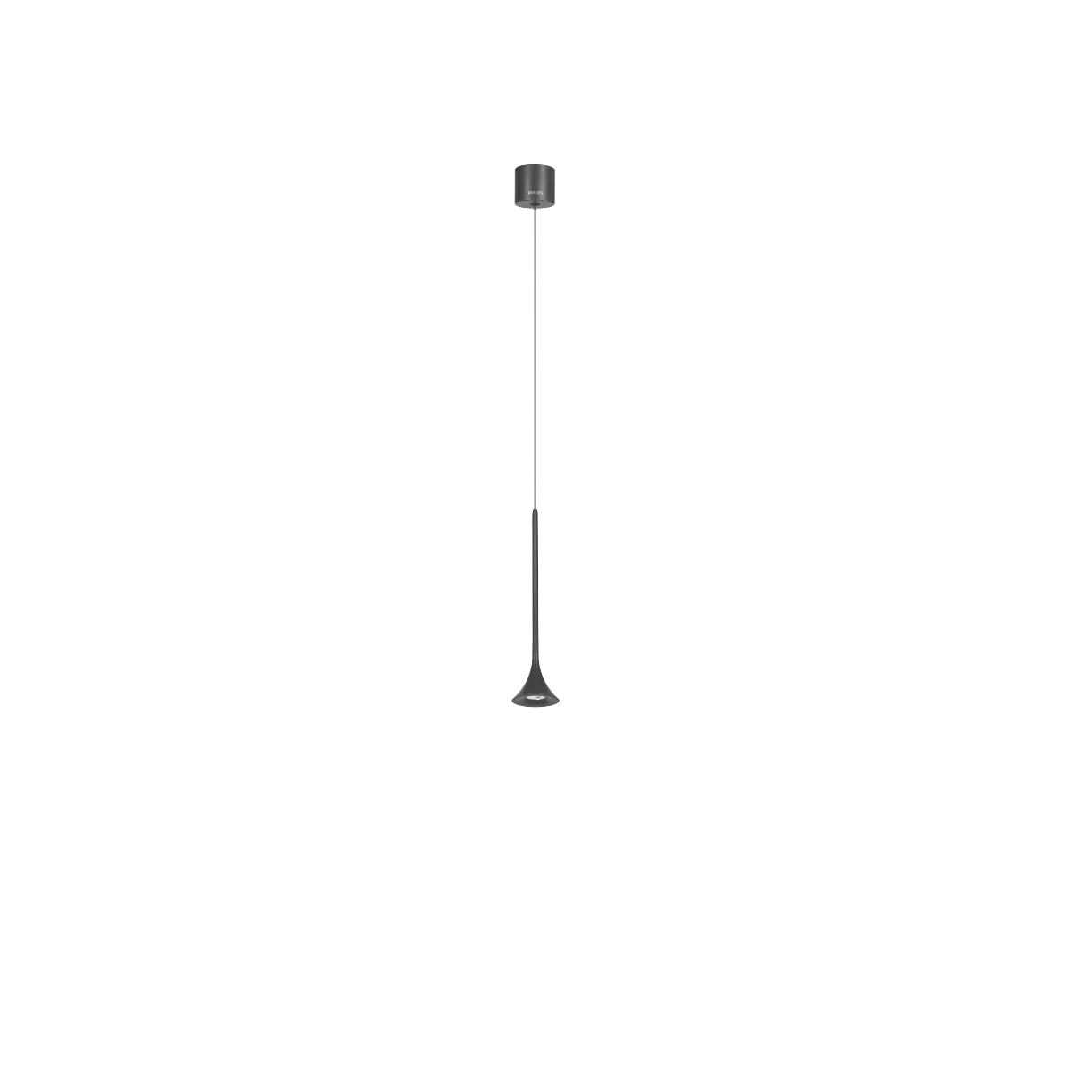 Philips Clarinet Pendant light