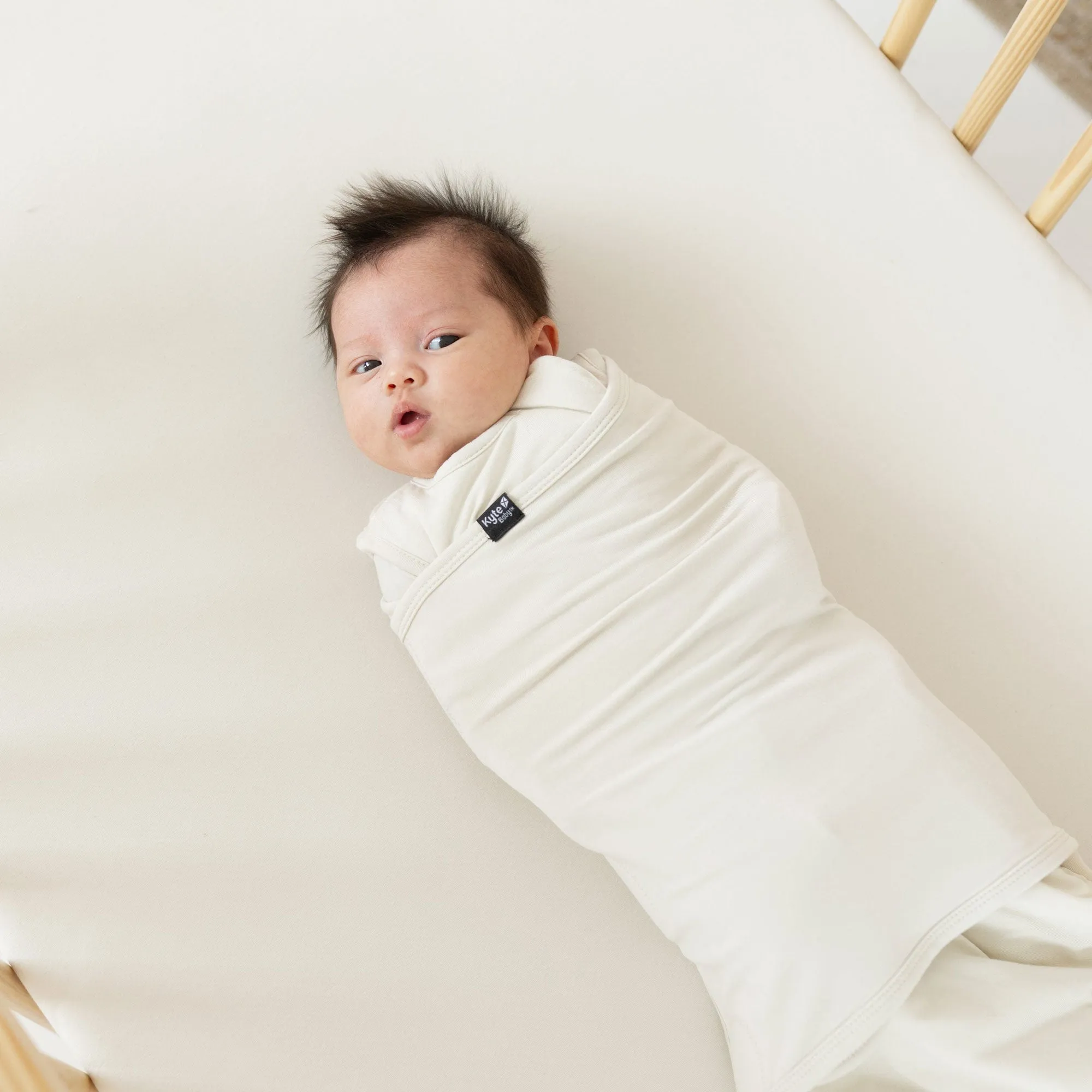 Sleep Bag Swaddler